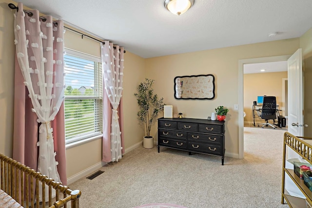 18939 Ibarra Trl, Lakeville, MN 55044 - photo 18