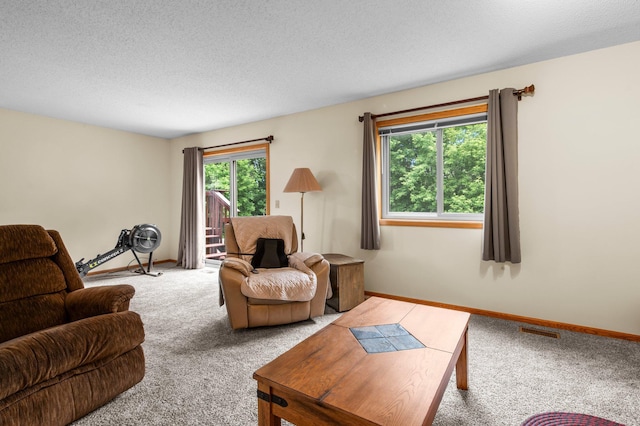 13842 Redwood St NW, Andover, MN 55304 - living area featuring carpet flooring, baseboards, and a textured ceiling