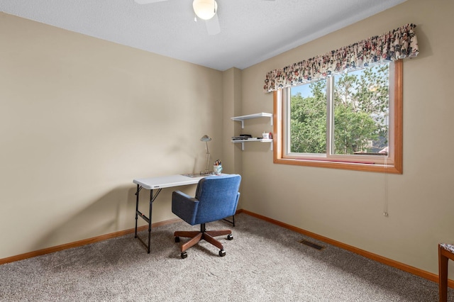 13842 Redwood St NW, Andover, MN 55304 - home office featuring carpet, a ceiling fan, and baseboards