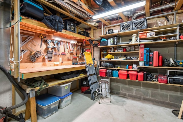 13842 Redwood St NW, Andover, MN 55304 - view of storage