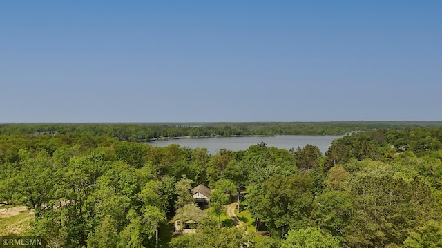 49063 203rd Pl, Mcgregor, MN 55760 - drone / aerial view of a heavily wooded area and a large body of water