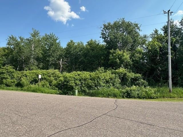 TBD 169th Ave NE, Ham Lake, MN 55304 - photo 4