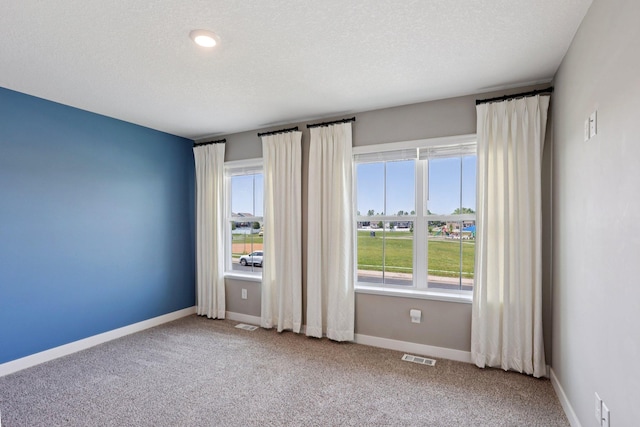 11505 Pineridge Way N, Dayton, MN 55327 - empty room featuring healthy amount of natural light, carpet flooring, and a textured ceiling