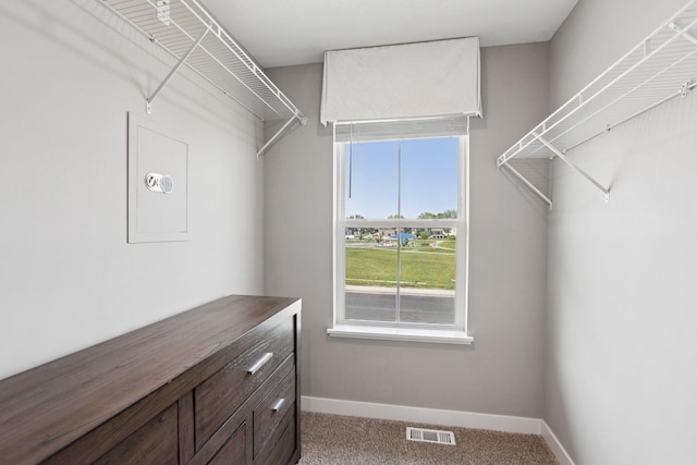 11505 Pineridge Way N, Dayton, MN 55327 - walk in closet featuring carpet floors