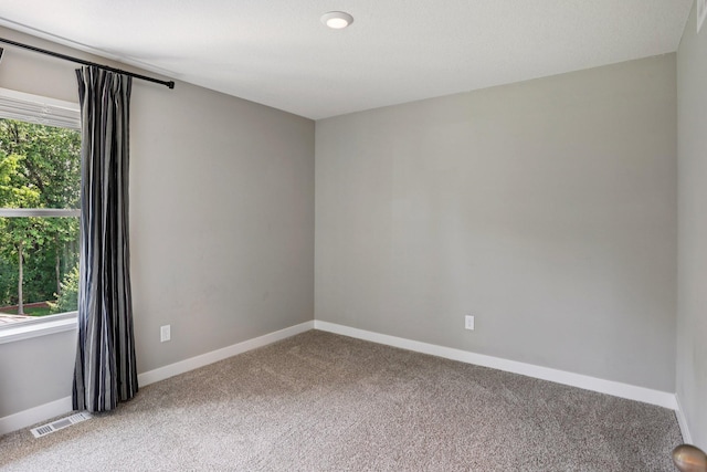 11505 Pineridge Way N, Dayton, MN 55327 - unfurnished room with light colored carpet and plenty of natural light