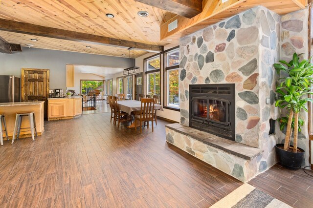 6860 Re Echo Ridge Dr NE, Remer, MN 56672 - living room featuring dark wood-style floors and a fireplace