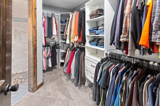 6860 Re Echo Ridge Dr NE, Remer, MN 56672 - walk in closet featuring carpet flooring