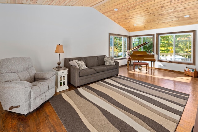 6860 Re Echo Ridge Dr NE, Remer, MN 56672 - living area featuring vaulted ceiling, wood finished floors, and wooden ceiling