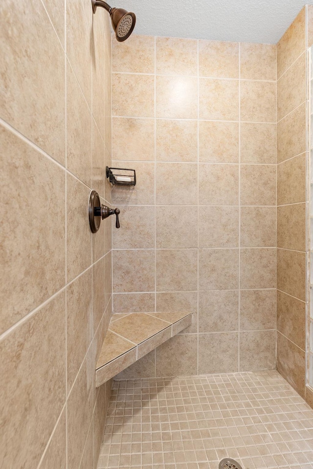 9256 Gateway Ln, Eden Prairie, MN 55347 - full bathroom with a tile shower