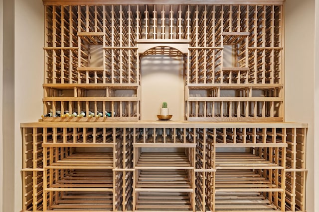 9256 Gateway Ln, Eden Prairie, MN 55347 - view of wine cellar