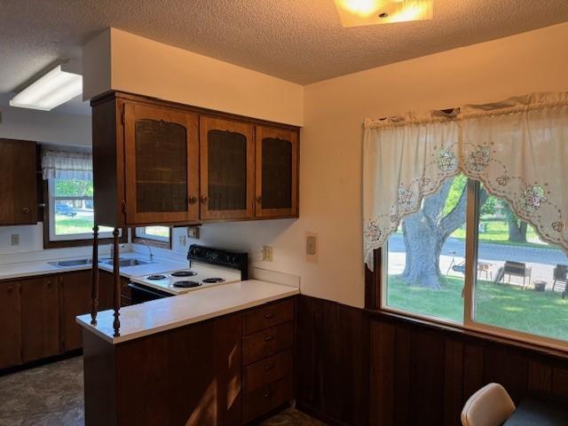 206 3rd St E, Brandon, MN 56315 - kitchen with white range oven, a peninsula, a sink, glass insert cabinets, and a textured ceiling