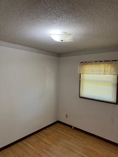 206 3rd St E, Brandon, MN 56315 - spare room with light wood-type flooring, a textured ceiling, and baseboards