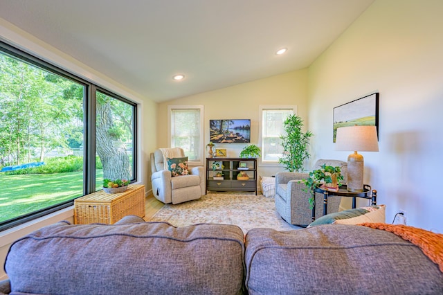 21400 654th Ave, Darwin, MN 55324 - living room featuring lofted ceiling, recessed lighting, and wood finished floors