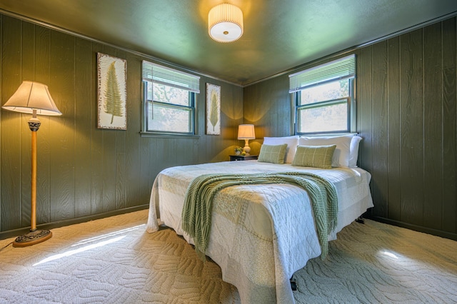 21400 654th Ave, Darwin, MN 55324 - carpeted bedroom featuring wood walls and baseboards