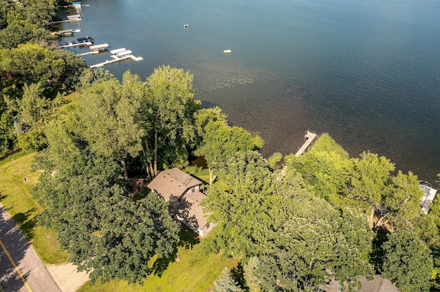 21400 654th Ave, Darwin, MN 55324 - drone / aerial view of a nearby body of water