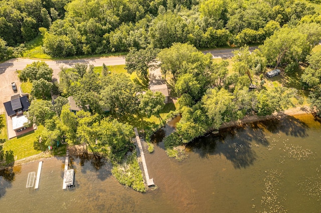21400 654th Ave, Darwin, MN 55324 - drone / aerial view