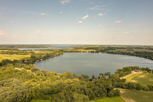 21400 654th Ave, Darwin, MN 55324 - aerial view of a large body of water and a heavily wooded area