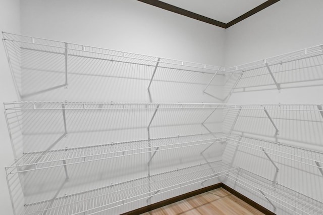 215 Mckay Ave # 59, Alexandria, MN 56308 - spacious closet with wood finished floors