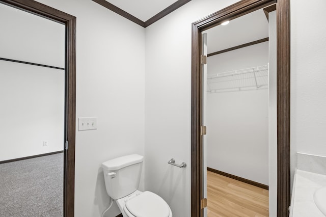 215 Mckay Ave # 59, Alexandria, MN 56308 - bathroom with toilet, crown molding, vanity, a spacious closet, and baseboards