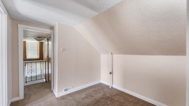 1125 9th Ave SE, Saint Cloud, MN 56304 - additional living space with a textured ceiling, carpet flooring, lofted ceiling, and baseboards