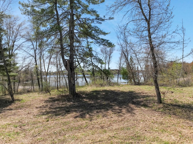 10 7/8 Ave Lot9, Prairie Lake Twp, WI 54822