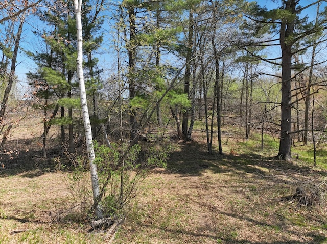 10 7/8 Ave Lot9, Prairie Lake Twp, WI 54822