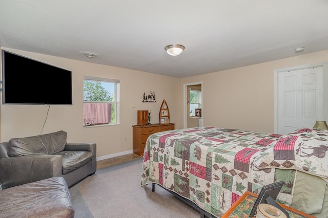 38630 Woodview Ln, Le Center, MN 56057 - bedroom featuring light carpet and baseboards