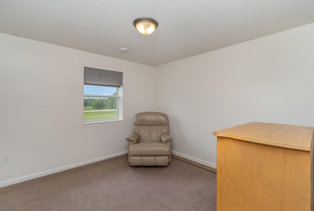 38630 Woodview Ln, Le Center, MN 56057 - sitting room featuring baseboards and carpet floors
