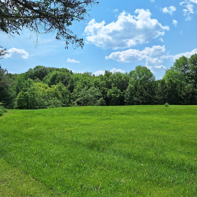 1334 105th Ave, Amery, WI 54001 - view of grassy yard with a view of trees