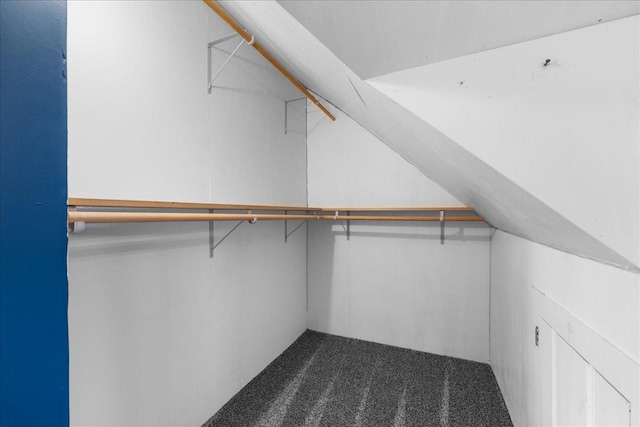 1334 105th Ave, Amery, WI 54001 - spacious closet featuring carpet floors