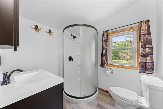 1334 105th Ave, Amery, WI 54001 - full bathroom with a stall shower, toilet, wood finished floors, vanity, and baseboards