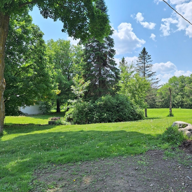 1334 105th Ave, Amery, WI 54001 - view of green lawn