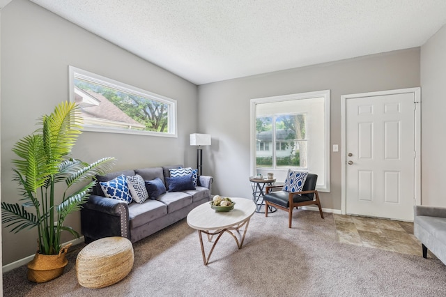 2619 23rd Ave N, Minneapolis, MN 55411 - carpeted living room featuring plenty of natural light and a textured ceiling