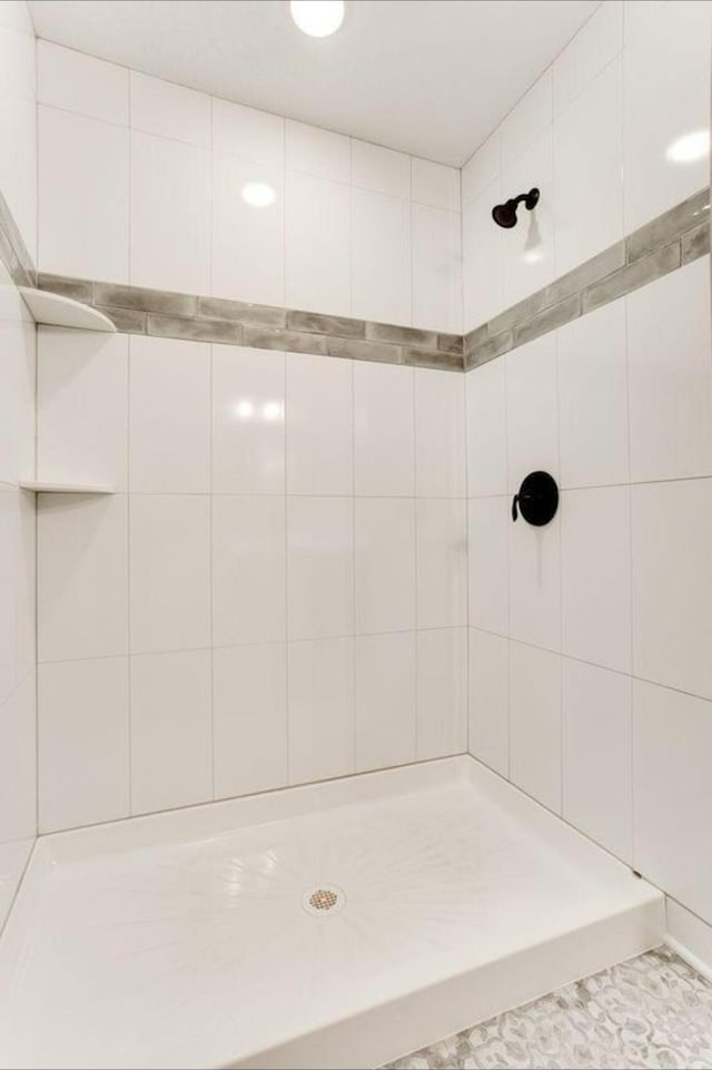 12620 Overlook Rd, Dayton, MN 55327 - full bathroom featuring a tile shower