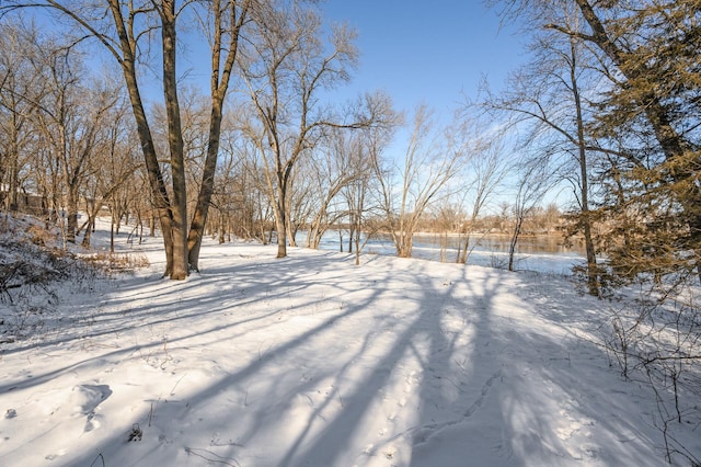 12620 Overlook Rd, Dayton, MN 55327 - view of snowy yard