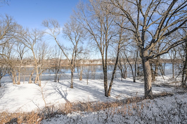 12620 Overlook Rd, Dayton, MN 55327 - view of yard layered in snow