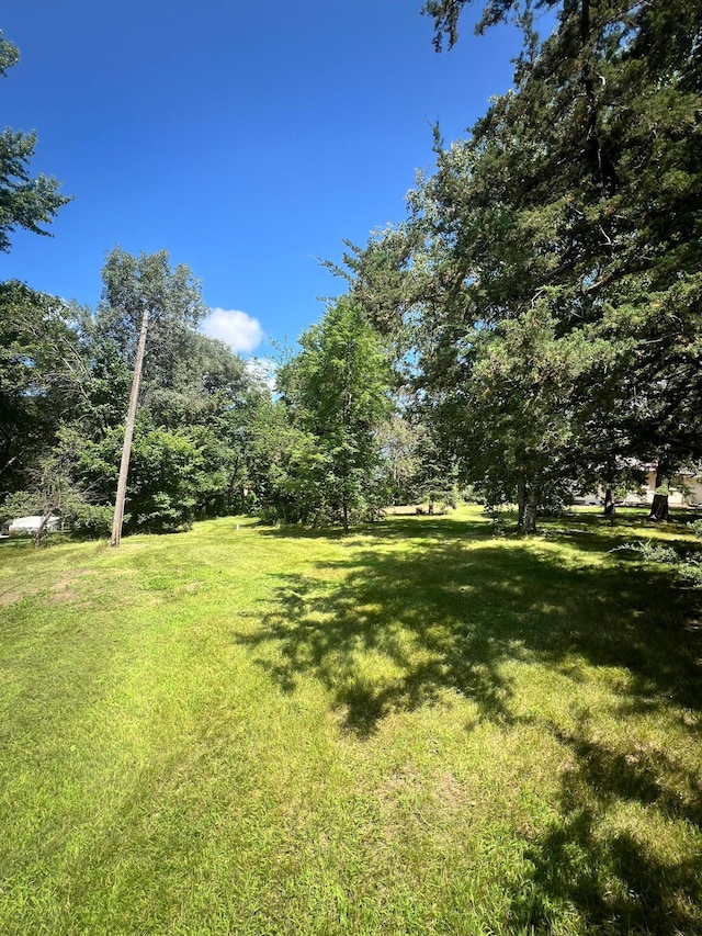 12620 Overlook Rd, Dayton, MN 55327 - view of green lawn