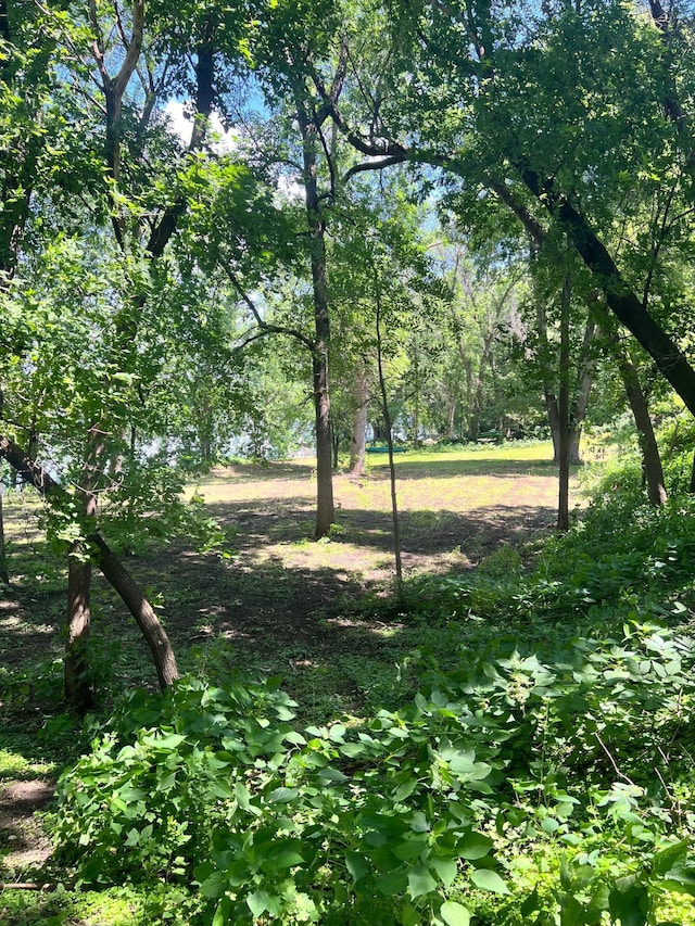 12620 Overlook Rd, Dayton, MN 55327 - view of local wilderness