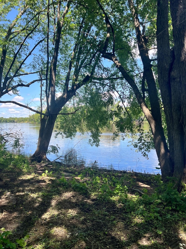 12620 Overlook Rd, Dayton, MN 55327 - water view