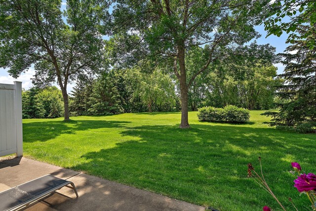9479 Prairieview Trl N, Champlin, MN 55316 - view of green lawn featuring view of scattered trees