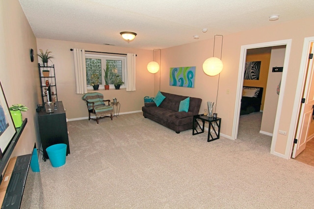 653 86th Ln NW, Coon Rapids, MN 55433 - living area featuring carpet and a textured ceiling