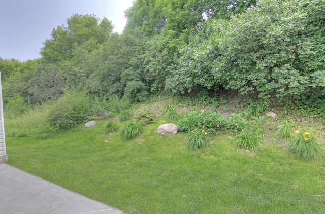 653 86th Ln NW, Coon Rapids, MN 55433 - view of yard