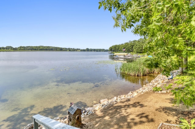 45909 Lands End Rd, Vergas, MN 56587 - water view