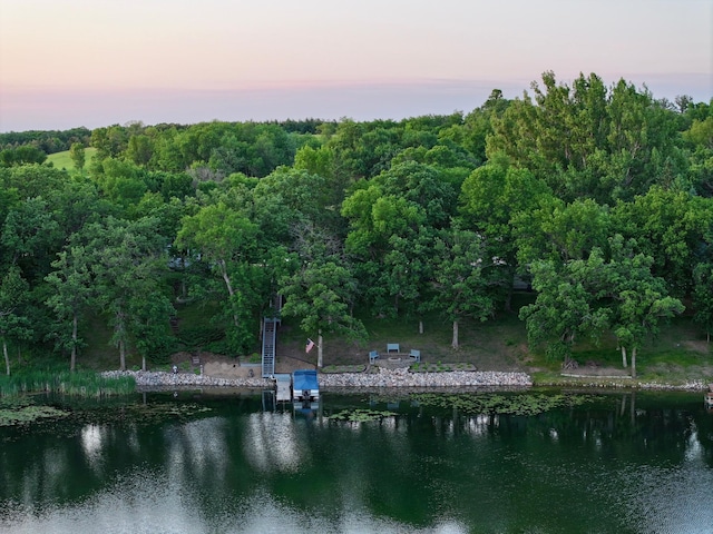 45909 Lands End Rd, Vergas, MN 56587 - water view featuring a dock