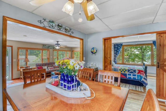 45909 Lands End Rd, Vergas, MN 56587 - dining space featuring ceiling fan, plenty of natural light, and a baseboard heating unit