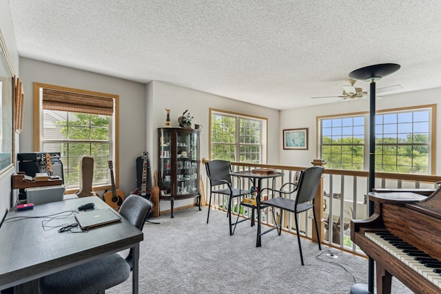 4505 Victor Path Unit 7, Hugo, MN 55038 - home office featuring carpet floors, ceiling fan, and a textured ceiling