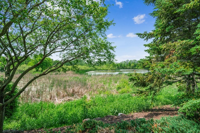 4505 Victor Path Unit 7, Hugo, MN 55038 - view of yard with a water view and a wooded view