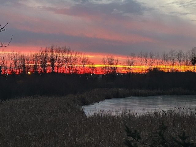 4505 Victor Path Unit 7, Hugo, MN 55038 - water view