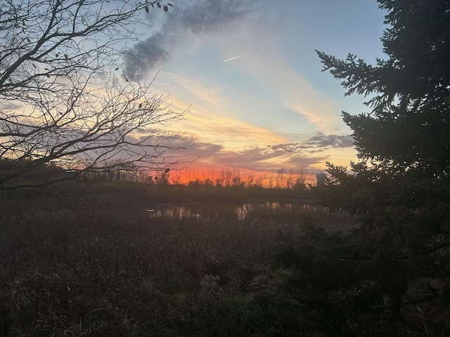 4505 Victor Path Unit 7, Hugo, MN 55038 - view of nature at dusk
