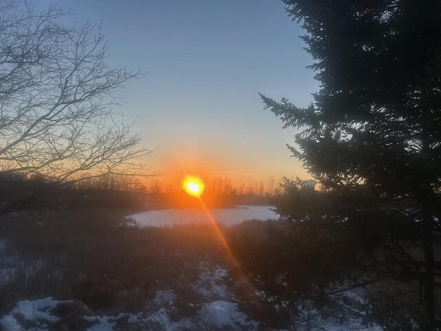 4505 Victor Path Unit 7, Hugo, MN 55038 - view of undeveloped land with a nearby body of water